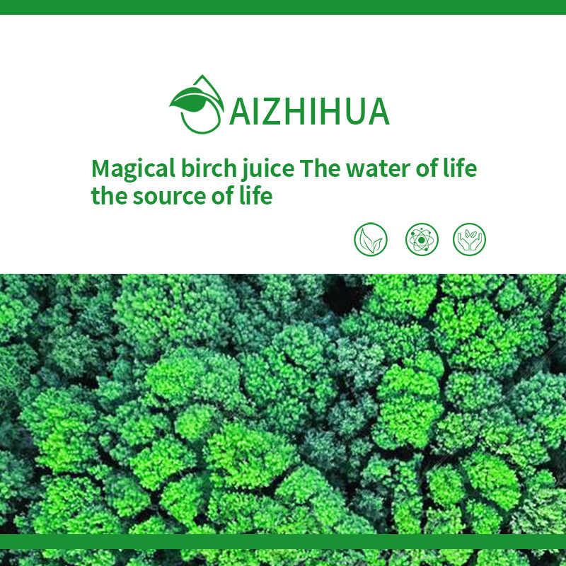 Aizhihua Biology's meticulously crafted fresh birch SAP products are sold both at home and abroad