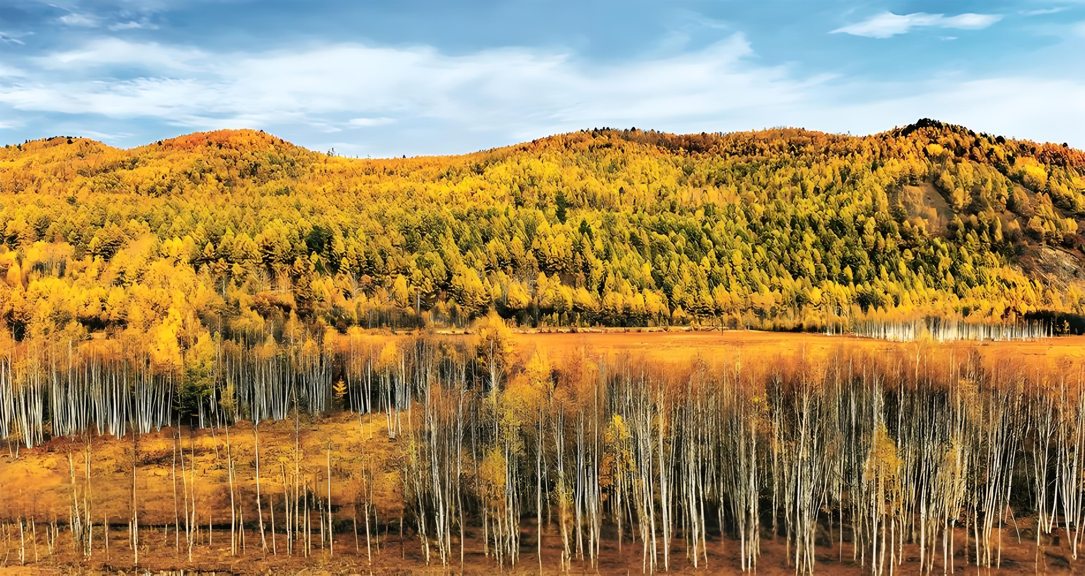 Birch Sap Sourced from the Pristine Forests of the Greater Khingan