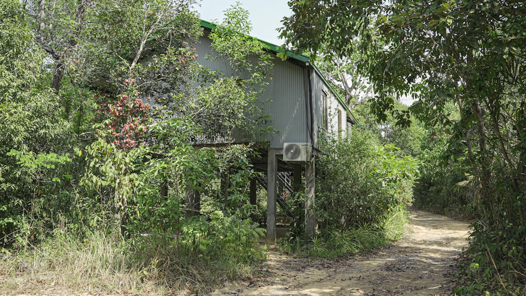 Forest Conservation