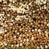 Birch Sap Raw Material: Unlocking Nature's Ancient Elixir for Modern Wellness