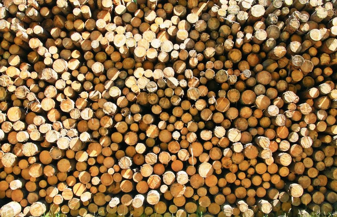 Birch Sap Raw Material: Unlocking Nature's Ancient Elixir for Modern Wellness