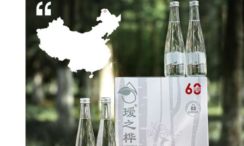 白桦树汁：大自然稀有时节的馈赠，揭秘其独特采集与多元价值