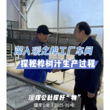 Aihui Commune Visits SourceBirch: Empowering Industry Revitalization through Ecology and Craftsmanship