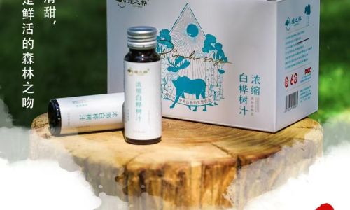 自然之馈赠，市场新蓝海：白桦树汁如何从传统走向全球热潮，并引来行业巨头争相入局