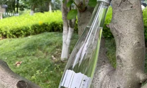 清润养生，首选瑷之桦：深度解析北纬秘境的“生命之水”