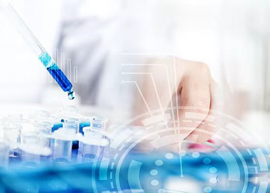 白桦树汁林区采集