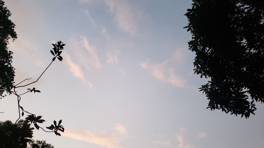 大兴安岭风光