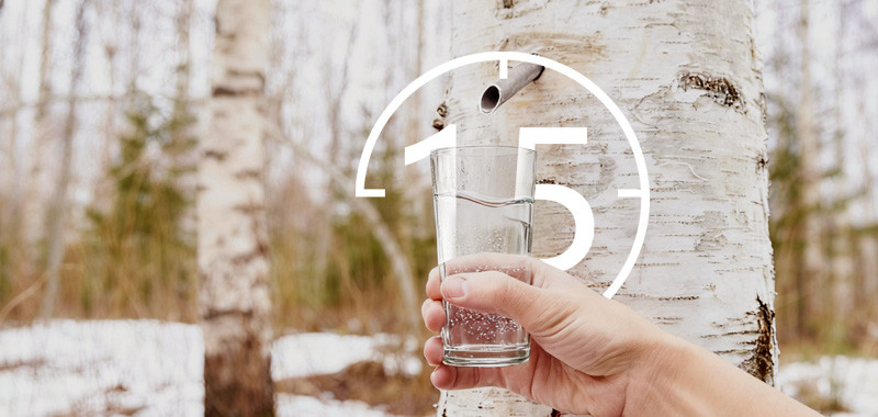 The Nutritional Value of Birch Water: Why It's an Ideal Choice for Functional Beverages and Health Products