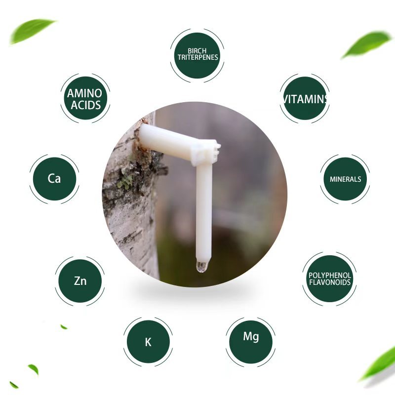 Mineral treasure trove