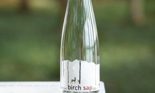 Birch Sap Powder vs. Liquid Birch Sap: How Multinational Beverage Companies Choose