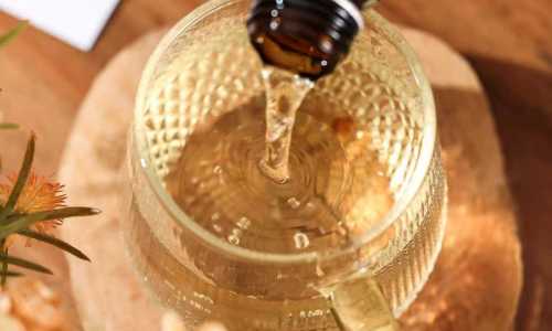 Understanding the Shelf Life of Birch Water: Optimal Storage Methods for Fresh, Frozen, and Concentrated Products