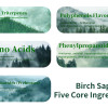Frequently Asked Questions on Organic and Export Certifications for SourceBirch Birch Sap