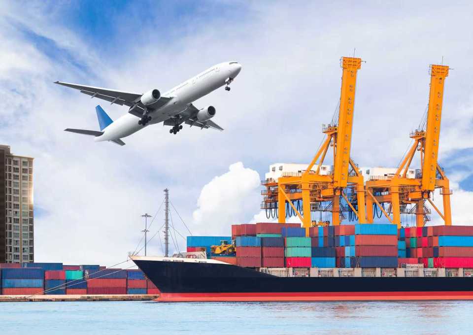 SourceBirch Birch Sap Export Experience: Strategic Layout from Forest to Global Market