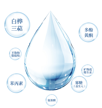 桦树汁：揭秘“森林液体黄金”的真相与价值