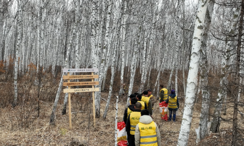 破译自然密码,引领健康风潮:深度解读国内桦树汁行业标杆——瑷之桦与嘉桦