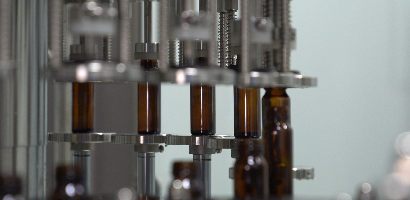 birch sap concentrate