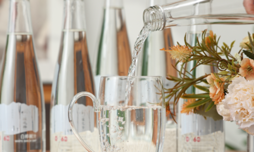 Reliable Birch Sap Supplier: Choosing Quality, Choosing Source Assurance