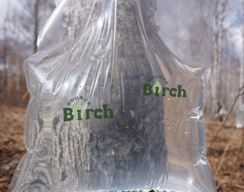 Fresh birch SAP