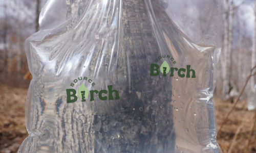Organic Birch Water vs. Conventional Birch Water: A Strategic Choice for Premium Beverage Brands