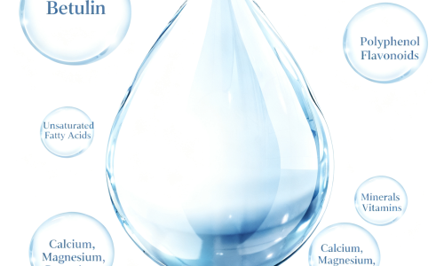 How to Evaluate Reliable Certifications for Birch Water Suppliers: A Key Guide to Building Procurement Trust