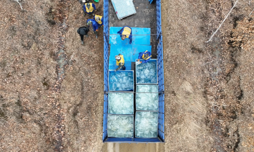 How to Preserve, Transport, and Apply Birch Sap in Functional Beverages?