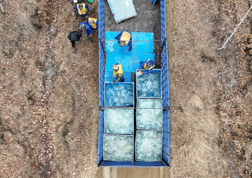 如何在功能饮料中保存、运输和应用桦树汁液?