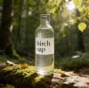 A Guide to Preferred Birch Sap Suppliers for American and European Buyers