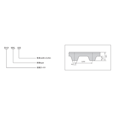B103MXL Coated Timing Belts Use for Pringting Machine Pitch 2.032mm