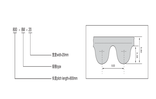 High Presion 800-8M Coated Timing Belts for Package Machine Transmission Pitch 8mm