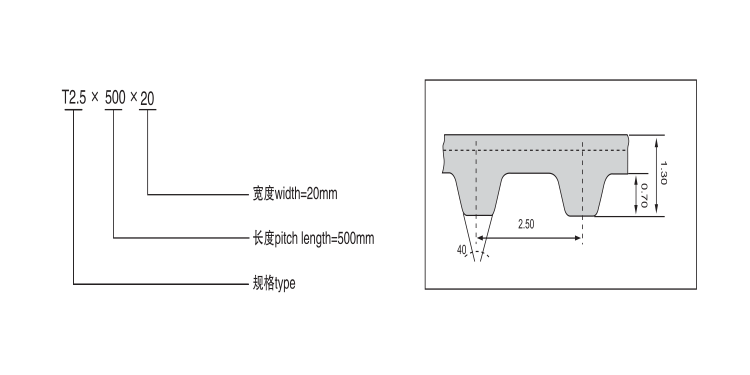 Synchronous Belt Plan View