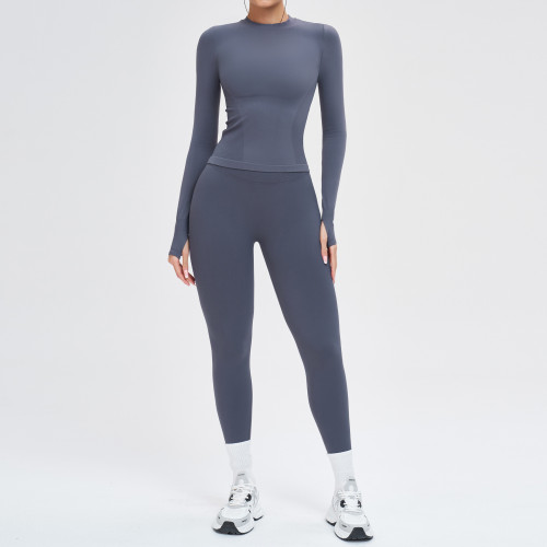 Seamless Sculpt Long Sleeve Set (Top + Leggings)