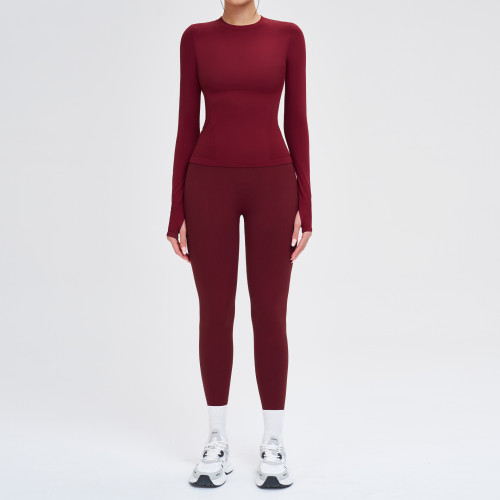 Seamless Sculpt Long Sleeve Set (Top + Leggings)
