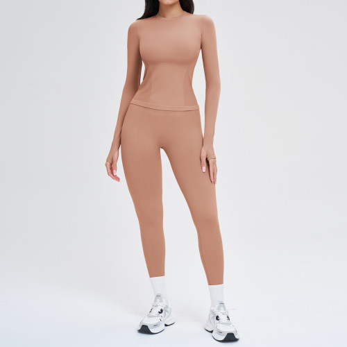 Seamless Sculpt Long Sleeve Set (Top + Leggings)