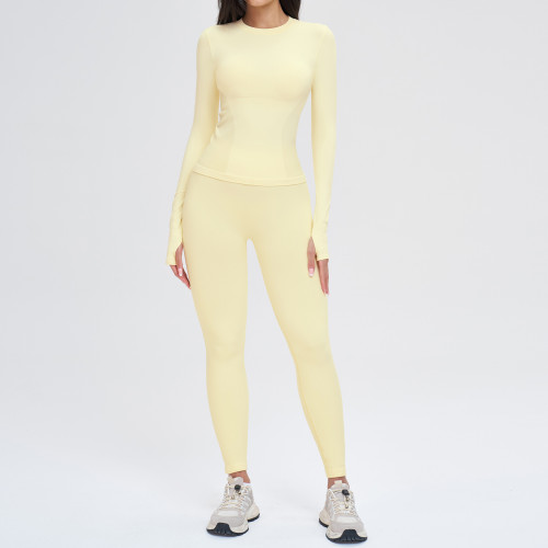 Seamless Sculpt Long Sleeve Set (Top + Leggings)