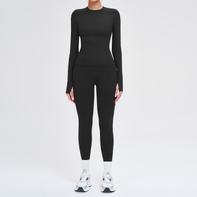 Seamless Sculpt Long Sleeve Set (Top + Leggings)