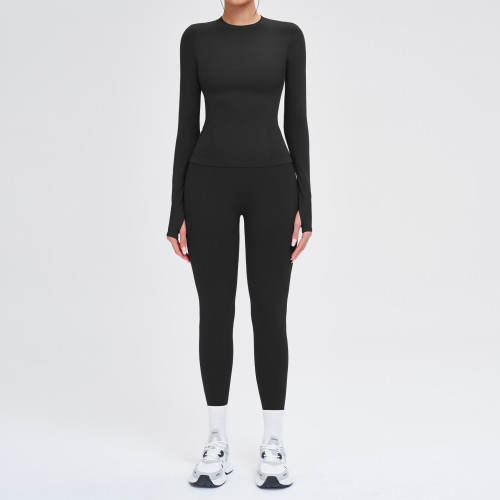 Seamless Sculpt Long Sleeve Set (Top + Leggings)