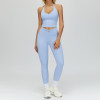 Halter V-Neck Crop Tank & Ruched High-Waist Leggings Set