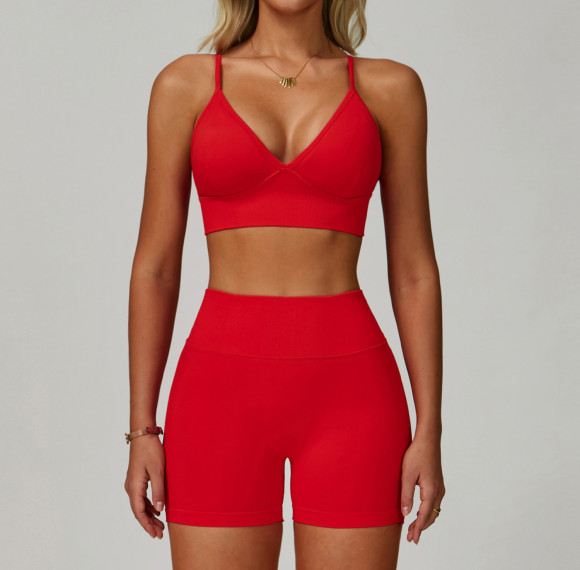Seamless V-Neck Bra + High-Waist Biker Shorts Set