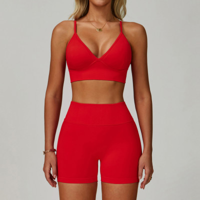 Seamless V-Neck Bra & High-Waist Biker Shorts Set