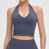 Seamless Halter V-Neck Yoga Crop Top