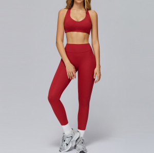 Seamless Sculpt Sports Bra & High-Waist Leggings Set