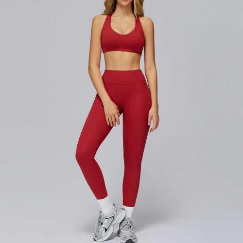 Seamless Sculpt Sports Bra & High-Waist Leggings Set