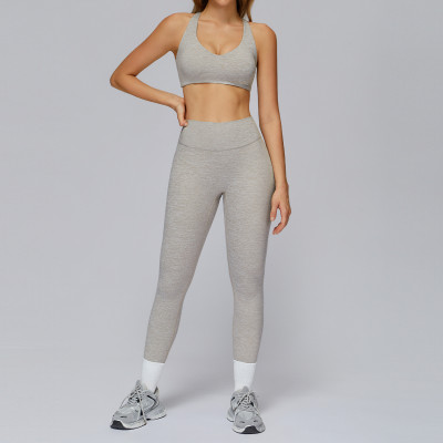 Seamless Sculpt Sports Bra & High-Waist Leggings Set
