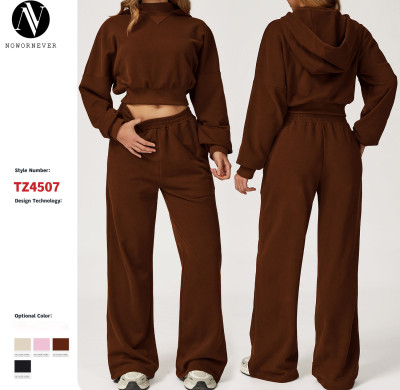 Wholesale OEM & ODM Women's Autumn/Winter Hooded Sweatshirt Set - Casual Outdoor Loose Fit Versatile Sportswear 4507 | Perfect for Running & Fitness Apparel Solutions