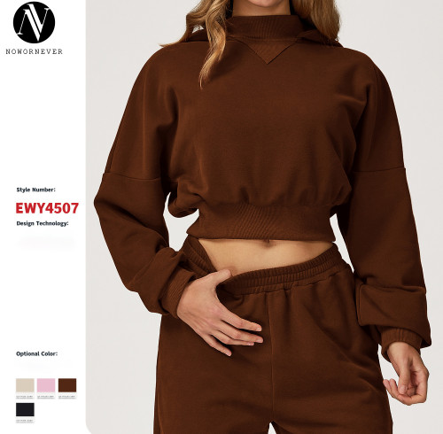 Bulk Order OEM & ODM Women's Fashion Hooded Sweatshirt - Casual Loose Fit Versatile Outerwear for Autumn/Winter, Suitable for Outdoor Running & Fitness Sportswear 4507 - Partner with Us