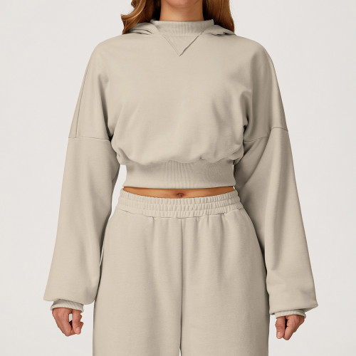 Bulk Order OEM & ODM Women's Fashion Hooded Sweatshirt - Casual Loose Fit Versatile Outerwear for Autumn/Winter, Suitable for Outdoor Running & Fitness Sportswear 4507 - Partner with Us