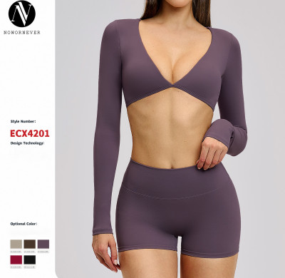 Women's Casual Cross-Border Yoga Long-Sleeved T-Shirt - V-Neck Fashion Sports Top for Outdoor Fitness & Running, OEM/ODM Manufacturing for Wholesalers (Model 4201)