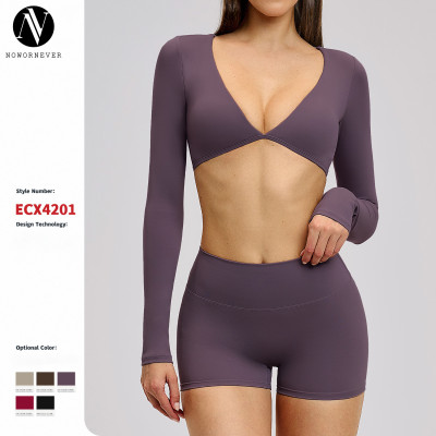 Women's Casual Cross-Border Yoga Long-Sleeved T-Shirt - V-Neck Fashion Sports Top for Outdoor Fitness & Running, OEM/ODM Manufacturing for Wholesalers (Model 4201)