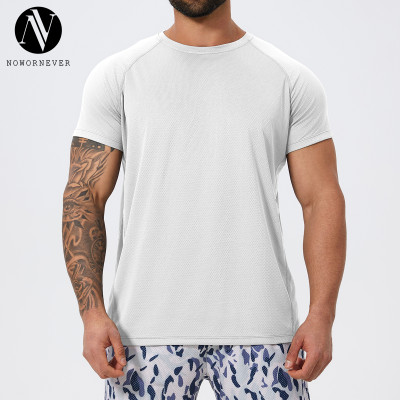 Men's Quick Dry Sports T-Shirt 1069 | OEM & ODM Crew Neck Muscle Fit Gym Tee for Running, Football & Training - Wholesale & Sourcing Solutions