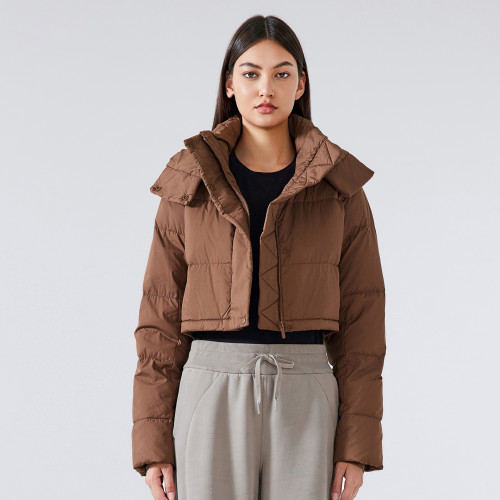 Custom OEM ODM Winter Short Warm Windproof Hooded Top Puff Casual Fashion Hot Girl Down Jacket for Women - DAW161 | Perfect for Wholesalers & Sourcing Agents
